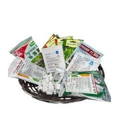 Collection image for: SEMINTE LEGUME