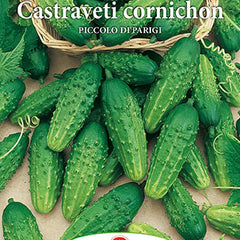 Collection image for: SEMINTE LEGUME