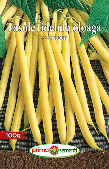 FASOLE FIDELUTA OLOAGA MAXIDOR 100G