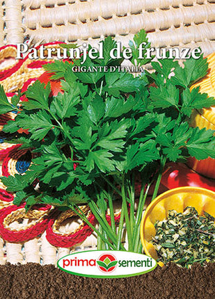 PATRUNJEL DE FRUNZE GIGANTE D^ITALIA 5G