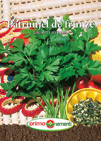 PATRUNJEL DE FRUNZE GIGANTE D^ITALIA 5G