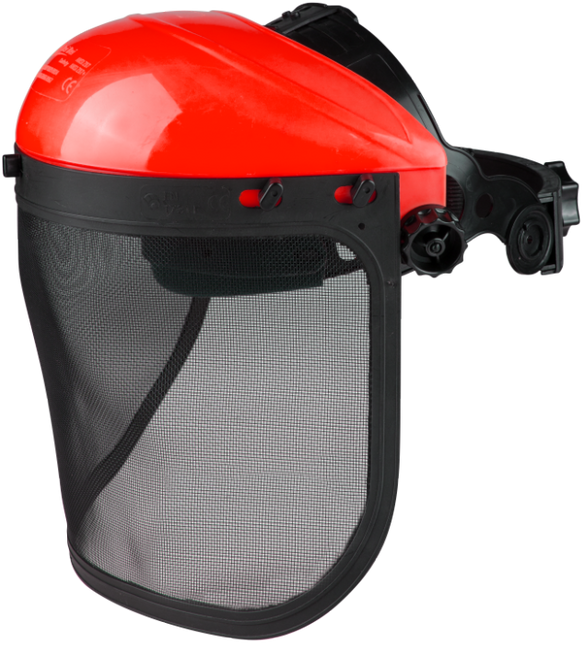 Viziera protectie