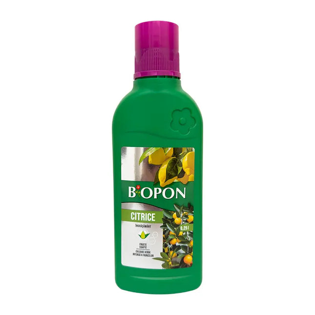 INGRASAMANT CITRICE BIOPON 250 ML