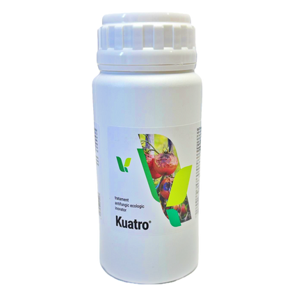 Kuatro