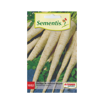 Patrunjel Berliner (radacina)