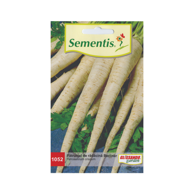 Patrunjel Berliner (radacina)